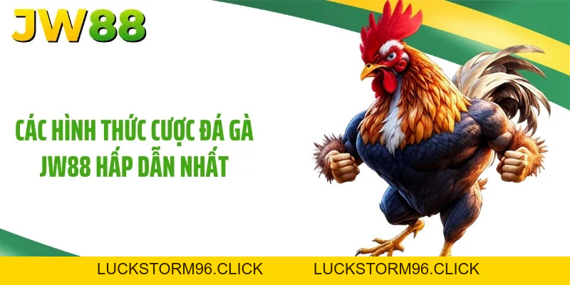 Đá Gà JW88: Bí Quyết Trải Nghiệm Đấu Kê Mới Mẻ